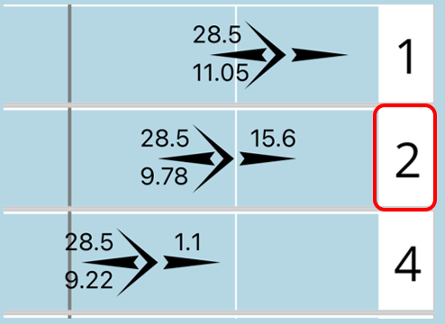 Race Position